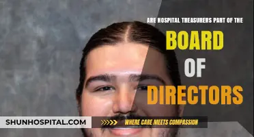 Are Hospital Treasurers Members of the Board of Directors?