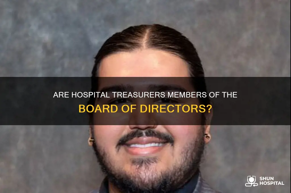 are hospital treasurers part of the board of directors
