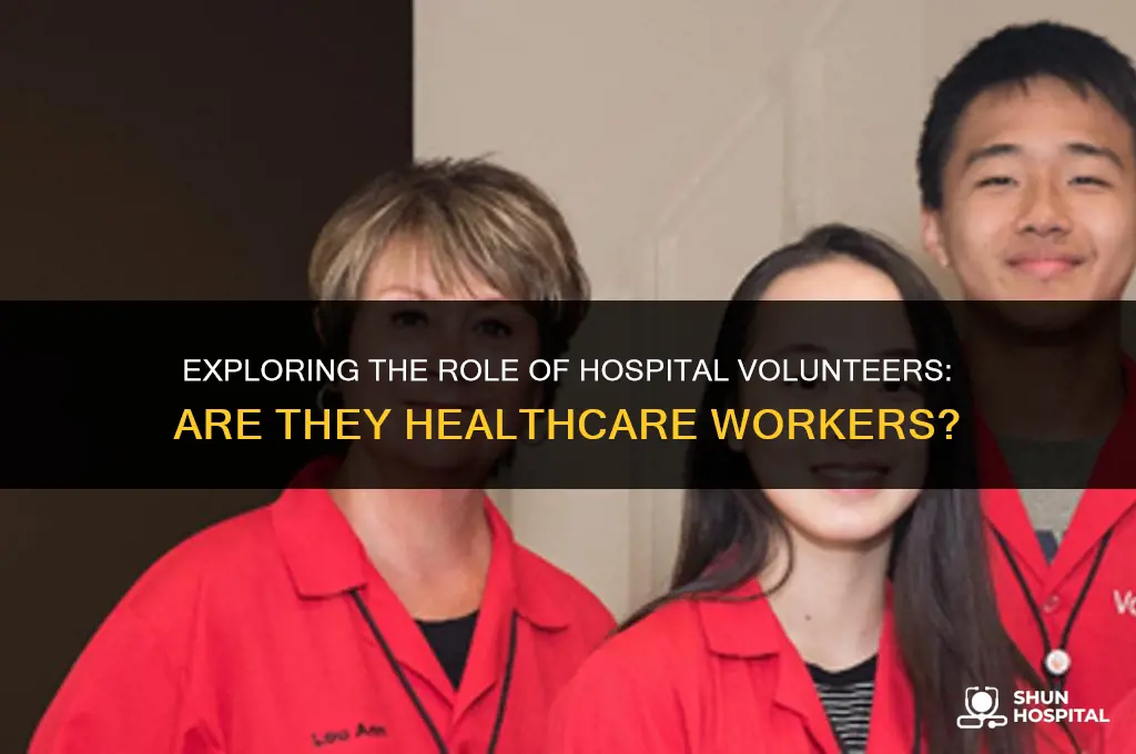 are hospital volunteers considered healthcare workers