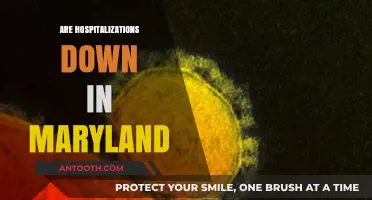 Maryland's Health Trends: Are Hospitalizations Declining in the State?