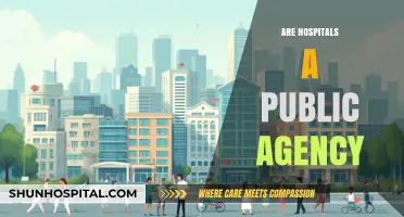 Are Hospitals Public Agencies? Exploring Ownership and Accountability
