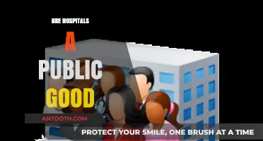 Are Hospitals Truly Public Goods? Exploring Access, Equity, and Healthcare