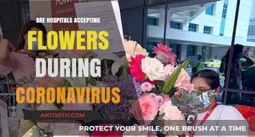Floral Deliveries to Hospitals: What You Need to Know During COVID-19