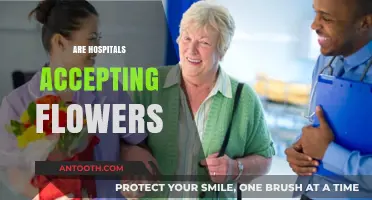 Are Hospitals Still Accepting Flowers? Updated Visitor Policies Explained