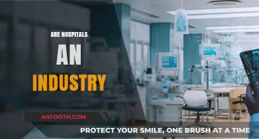 Are Hospitals an Industry? Exploring Healthcare's Complex Business Model