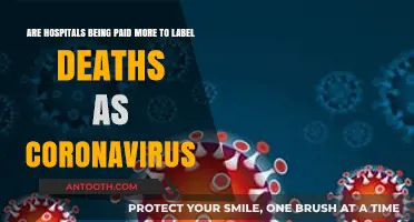 Uncovering Truth: Are Hospitals Profiting from COVID-19 Death Labels?