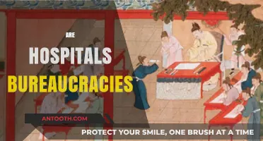 Are Hospitals Bureaucracies? Exploring Healthcare's Administrative Complexities