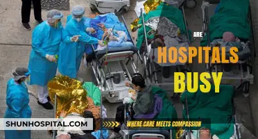 Are Hospitals Overwhelmed? Exploring the Daily Hustle in Healthcare Facilities