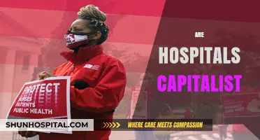 Are Hospitals Capitalist? Exploring Healthcare's Profit-Driven Model