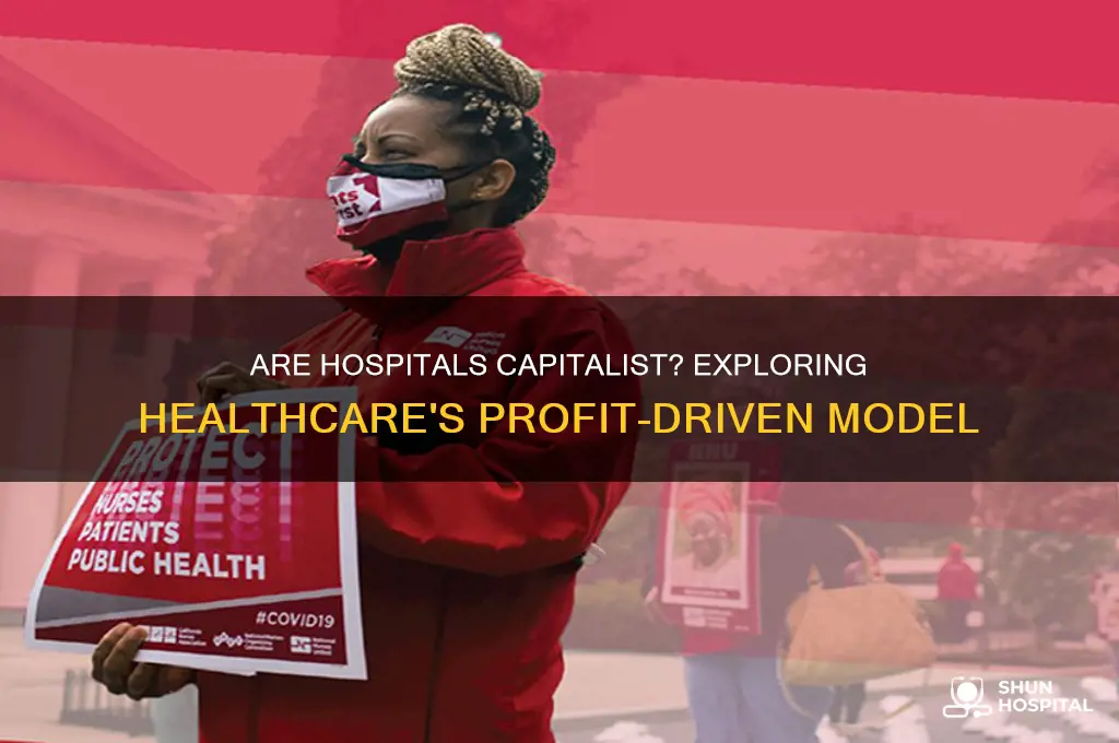 are hospitals capitalist