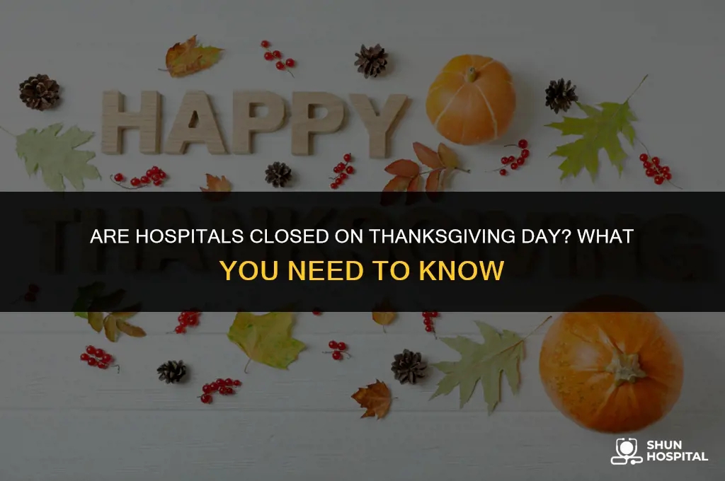 are hospitals closed on thanksgiving day