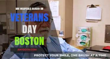 Veterans Day: Are Boston Hospitals Open or Closed?