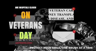 Veterans Day Observance: Are Hospitals Closed?