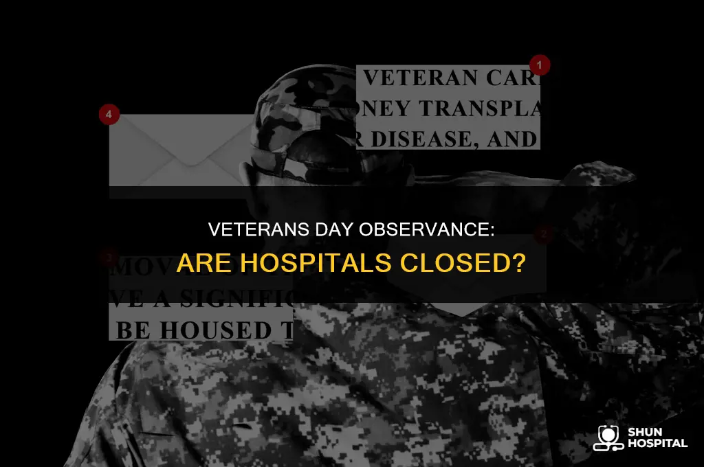 are hospitals closed on veterans day