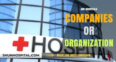 Hospitals: Companies, Organizations, or Something Else Entirely?
