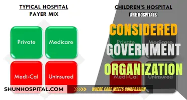Are Hospitals Government Organizations? Exploring Ownership and Funding Models