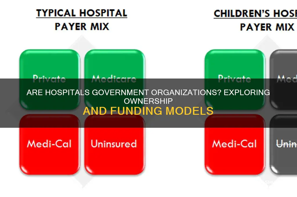 are hospitals considered government organizations