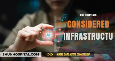 Are Hospitals Critical Infrastructure? Exploring Their Role in Society