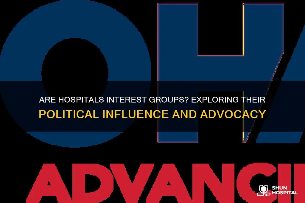are hospitals considered interest groups