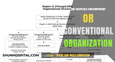 Exploring the Dichotomy: Are Hospitals Contemporary or Conventional Organizations?