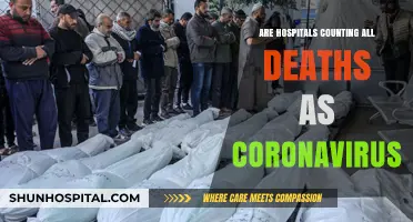 Hospitals Falsely Inflating COVID-19 Death Statistics?