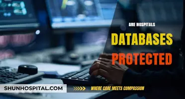 Are Hospital Databases Secure? Exploring Vulnerabilities and Protection Measures