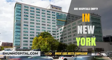 Exploring the Current State of New York Hospitals: Are They Empty?