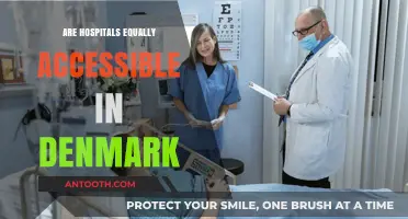 Healthcare Equity in Denmark: Are All Hospitals Equally Accessible?