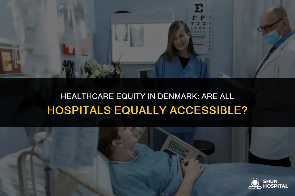 are hospitals equally accessible in denmark