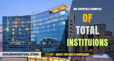 Exploring the Institutional Dynamics of Hospitals: A Comprehensive Analysis