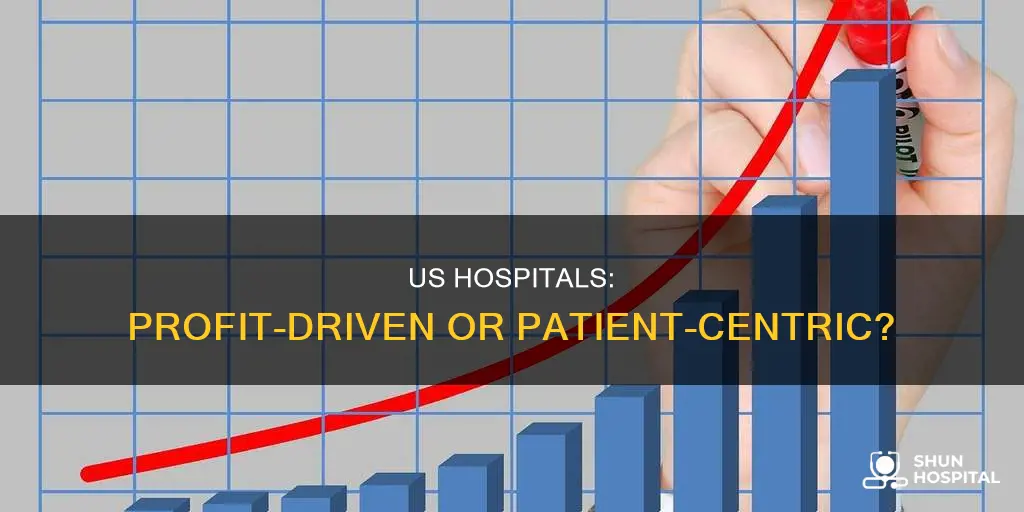 are hospitals for profit in the us