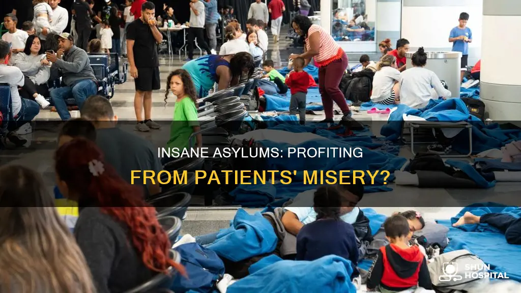 are hospitals for the insane for profit