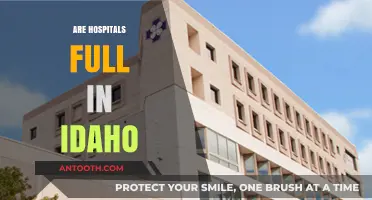 Idaho Hospitals at Capacity: Are They Full and Why?