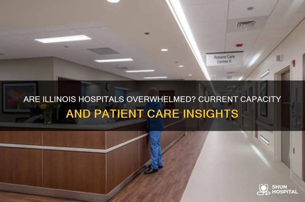 are hospitals full in illinois