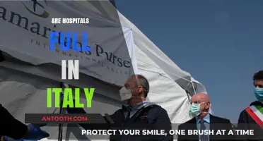 Are Italian Hospitals Overwhelmed? Current Status and Challenges in Italy