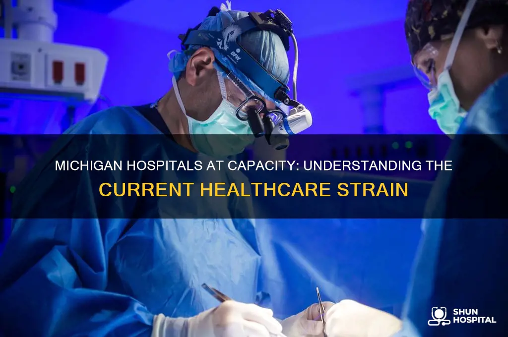 are hospitals full in michigan