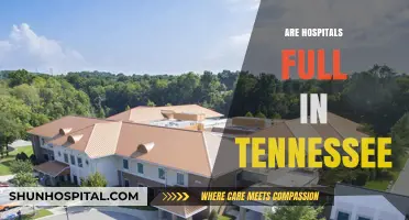 Are Tennessee Hospitals Overwhelmed? Current Capacity and Patient Care Insights