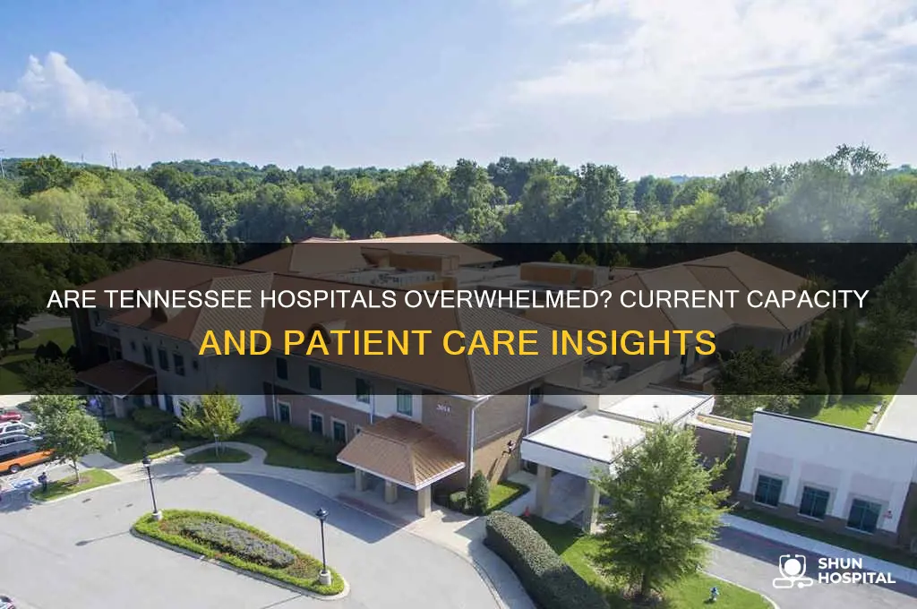 are hospitals full in tennessee