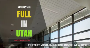Utah Hospitals at Capacity: Examining the Current Healthcare Situation
