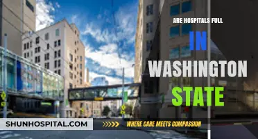Washington State Hospitals: Are They at Full Capacity?