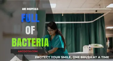 Hospitals and Hidden Bacteria: Uncovering the Truth About Cleanliness