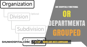 Exploring Hospital Structures: Functional vs. Departmental Grouping