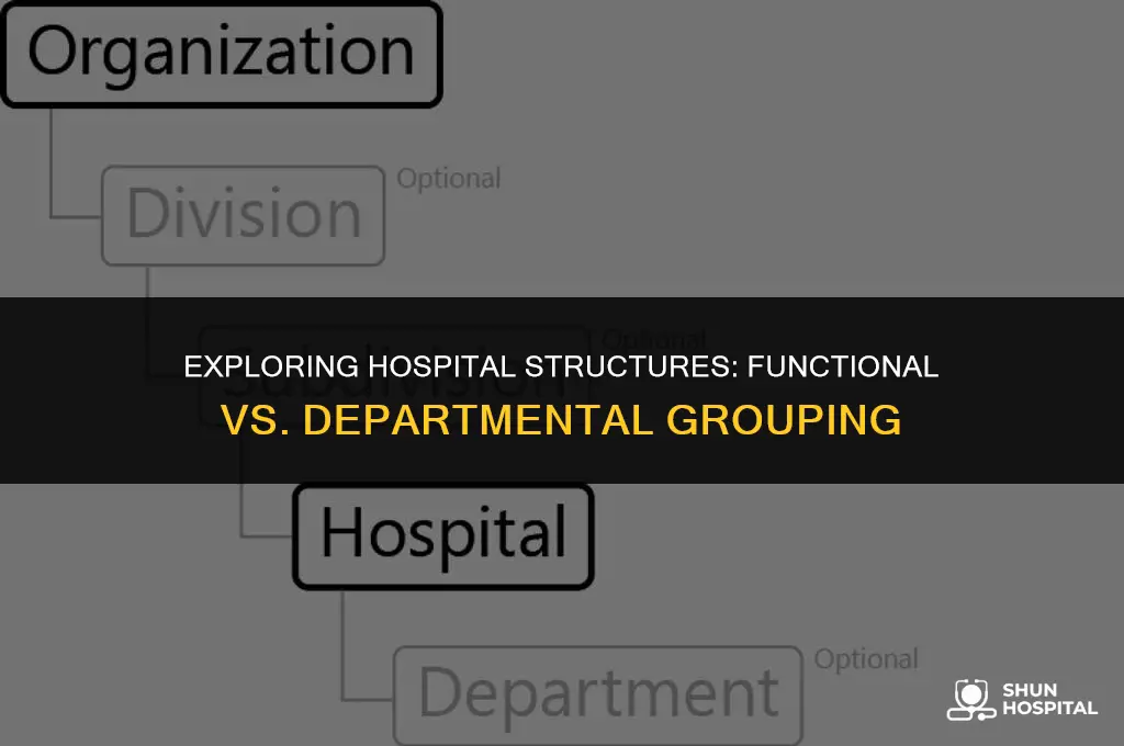are hospitals functional or departmental grouped