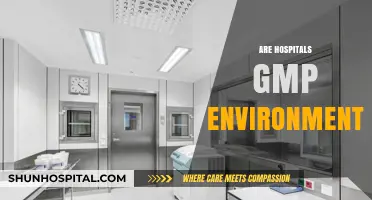 Are Hospitals GMP Environments? Exploring Compliance and Patient Safety