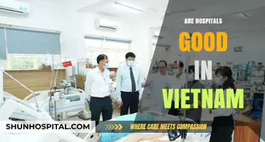 Exploring Vietnam's Healthcare: Are Hospitals Meeting Patient Expectations?
