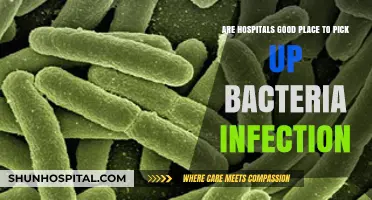 Hospital Infections: Are Healthcare Facilities Breeding Grounds for Bacteria?