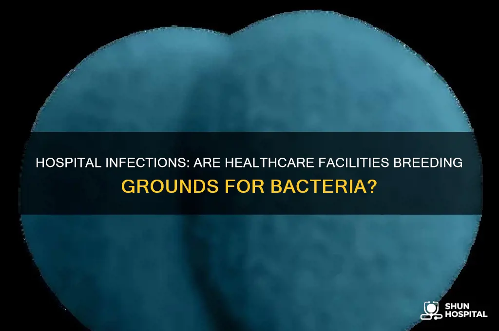 are hospitals good place to pick up bacteria infection