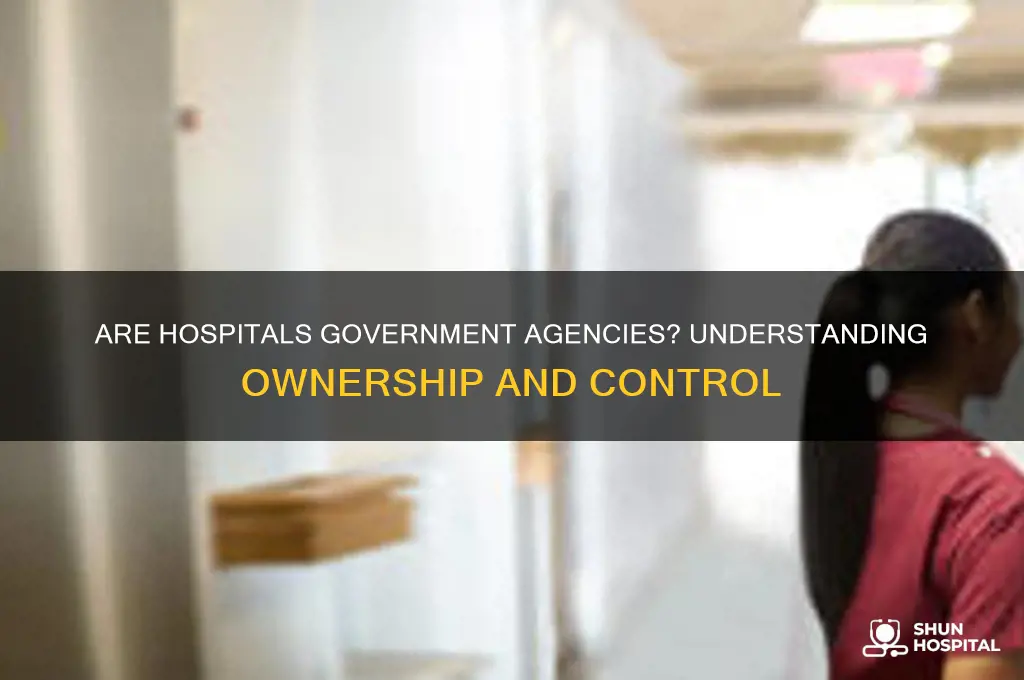 are hospitals government agencies