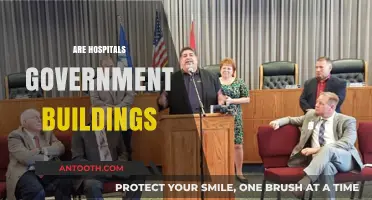 Are Hospitals Government Buildings? Exploring Ownership and Public Healthcare