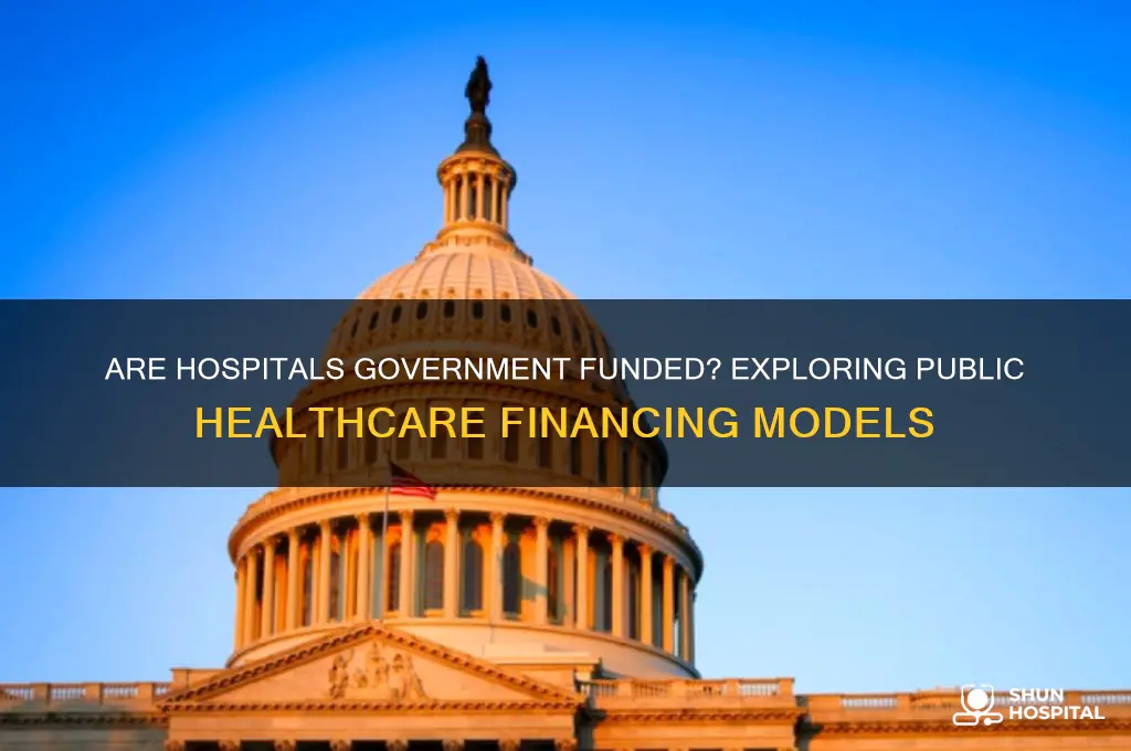 are hospitals government funded